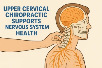 Upper Cervical Chiropractic Supports Nervous System Health