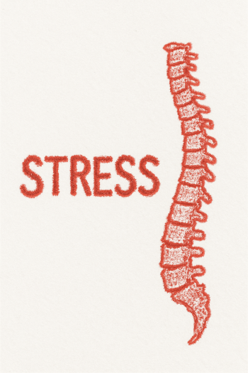 Upper Cervical Chiropractic Care and Stress Relief: Exploring the Mind-Body Connection Upper Cervical Chiropractic Care and Stress Relief: Exploring the Mind-Body Connection